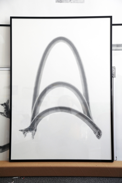 吳權倫「牧羊犬與其他 」創作作品：《Hurdle》，紙、鉛筆，84X59.4 cm，2019